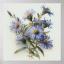 Aster ծաղիկների | ծաղկեպսակների առաքում Երևան