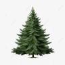 Fir trees | Ծաղկեպսակների առաքում Երևան