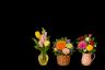 Flower Arrangements in Containers | Ծաղկեպսակների առաքում Երևան