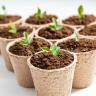 Seeds and bulbs | Ծաղկեպսակների առաքում Երևան