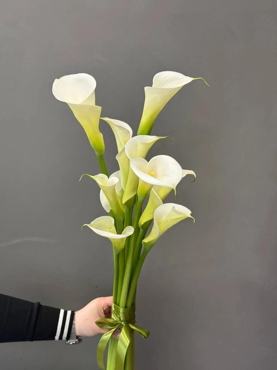 Callas | ծաղիկներ, ծաղկեպսակներ, բույսեր Երևան