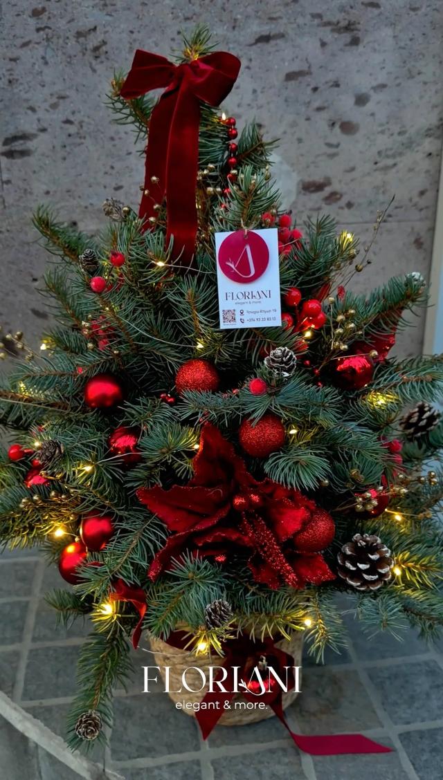 Christmas composition | ծաղիկներ, ծաղկեպսակներ, բույսեր - առաքում Երևան