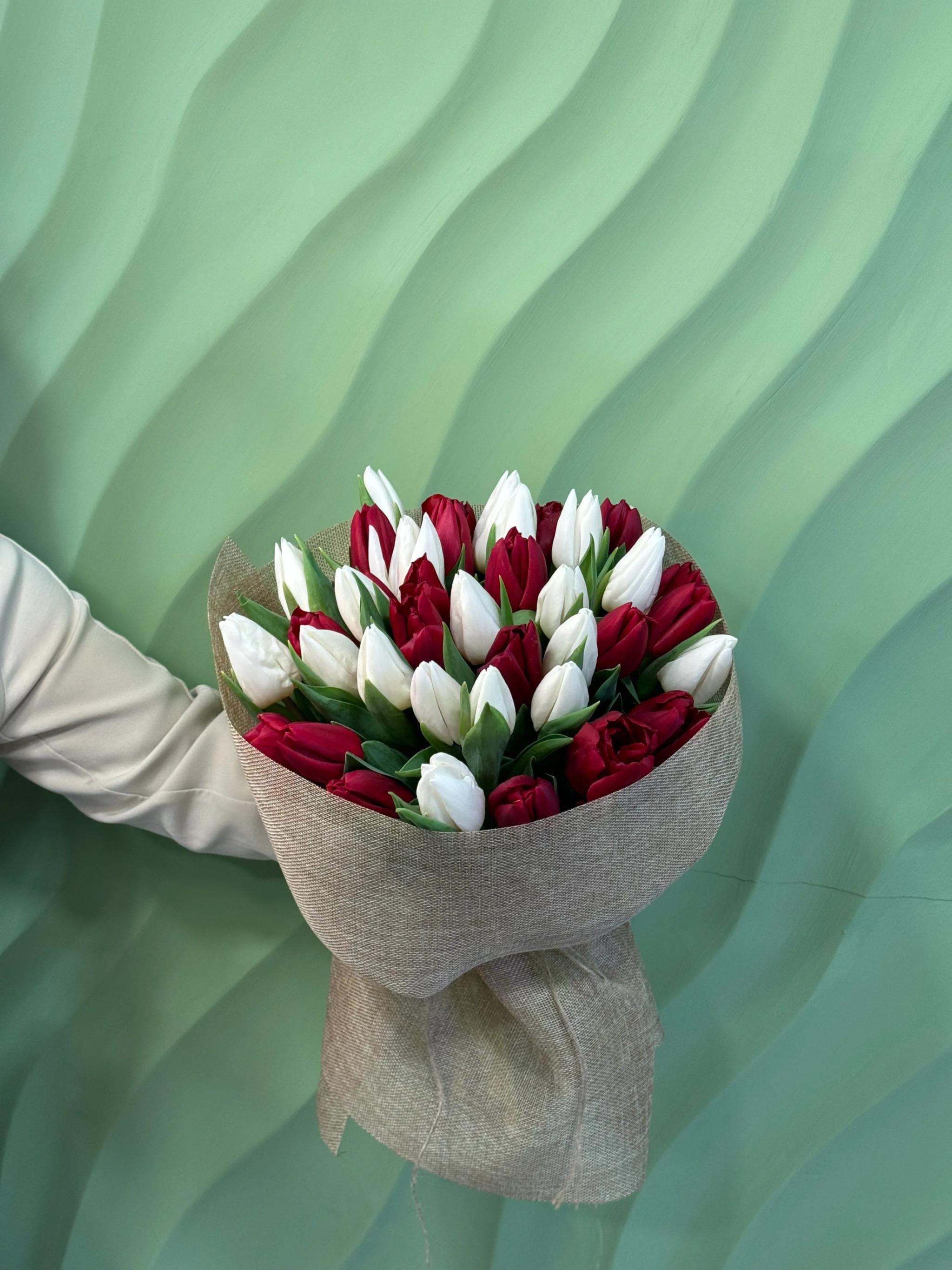 Tulips | ծաղիկներ, ծաղկեպսակներ, բույսեր Երևան