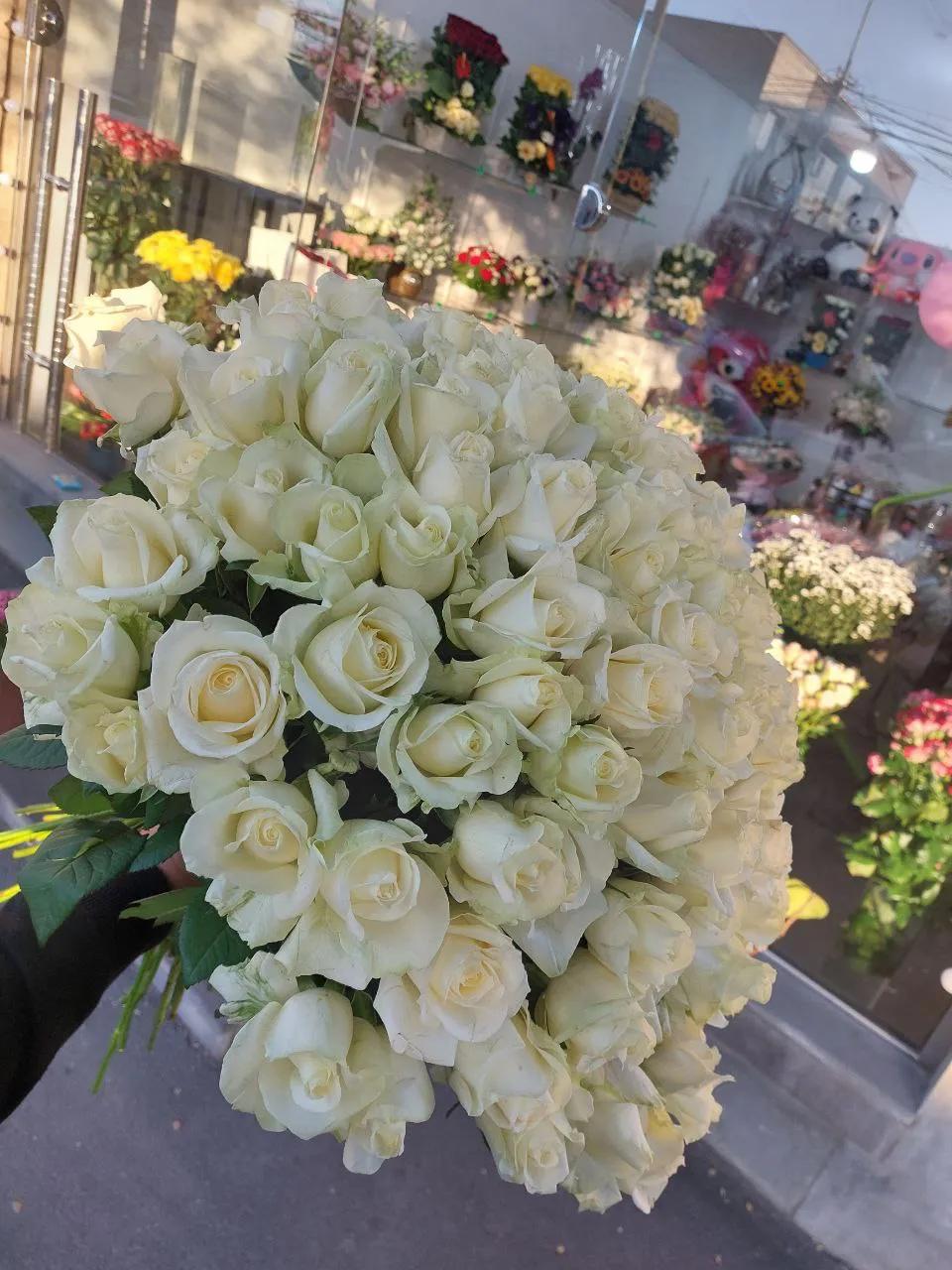 White roses | ծաղիկներ, ծաղկեպսակներ, բույսեր Երևան