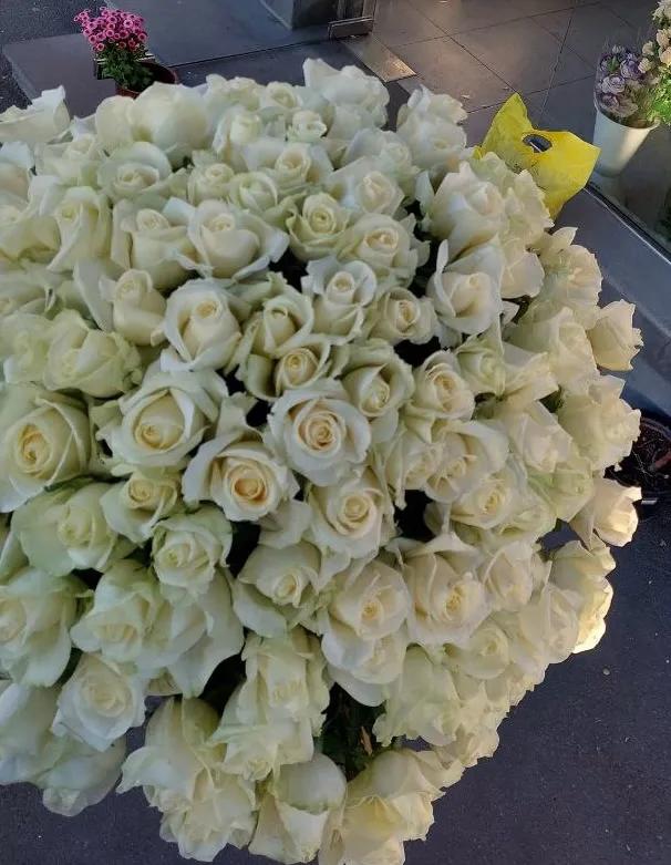 White roses | ծաղիկներ, ծաղկեպսակներ, բույսեր Երևան